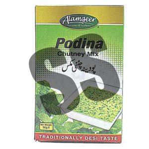 Alamgeer Podina Chutney Mix 50g