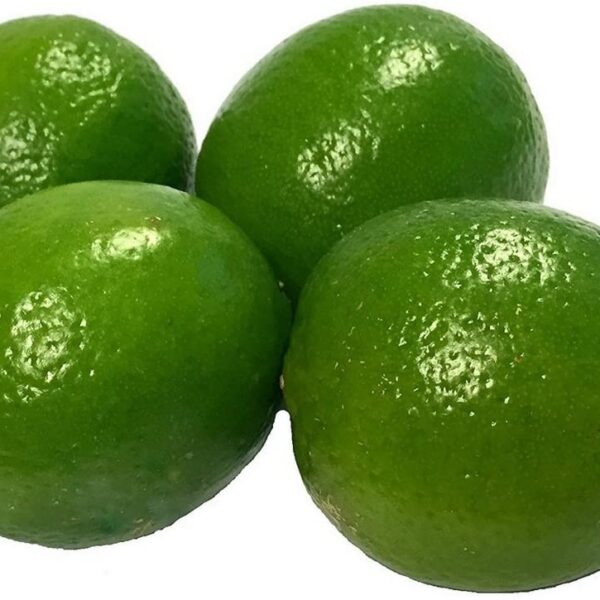 Lime - pack of 4