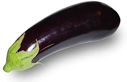 Aubergine Large