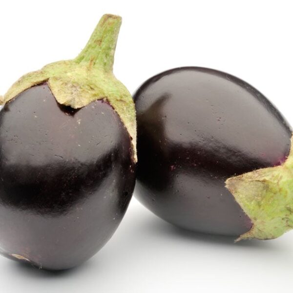 Aubergine small 1kg