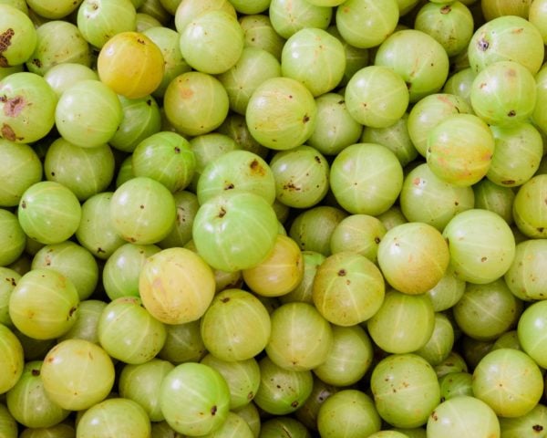 Fresh Amla (Indian Gooseberry) 500g