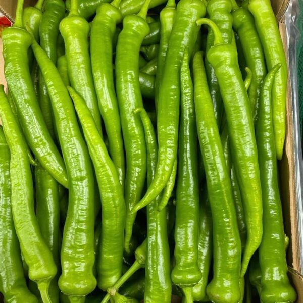 Fresh Long Chillies 500g